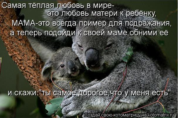 Самая тёплая любовь в мире- это любовь матери к ребёнку, МАМА-это всегда пример для подражания, а теп... Котоматрица: Самая тёплая любовь в мире- это любовь матери к ребёнку, МАМА-это всегда пример для подражания, а теперь подойди к своей маме,обними её и ска