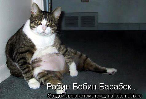 Робин Бобин Барабек...... Котоматрица: Робин Бобин Барабек...