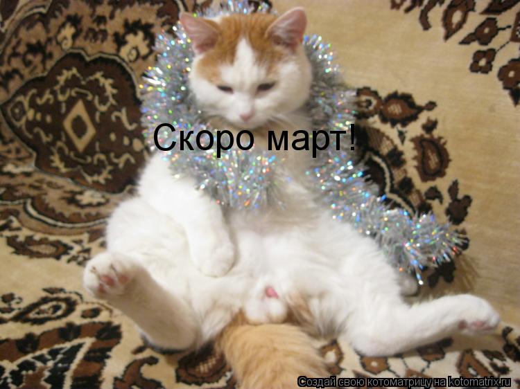 Скоро март!... Котоматрица: Скоро март!