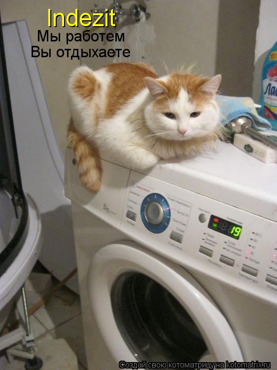 Indezit Мы работем Вы отдыхаете... Котоматрица: Indezit Мы работем Вы отдыхаете
