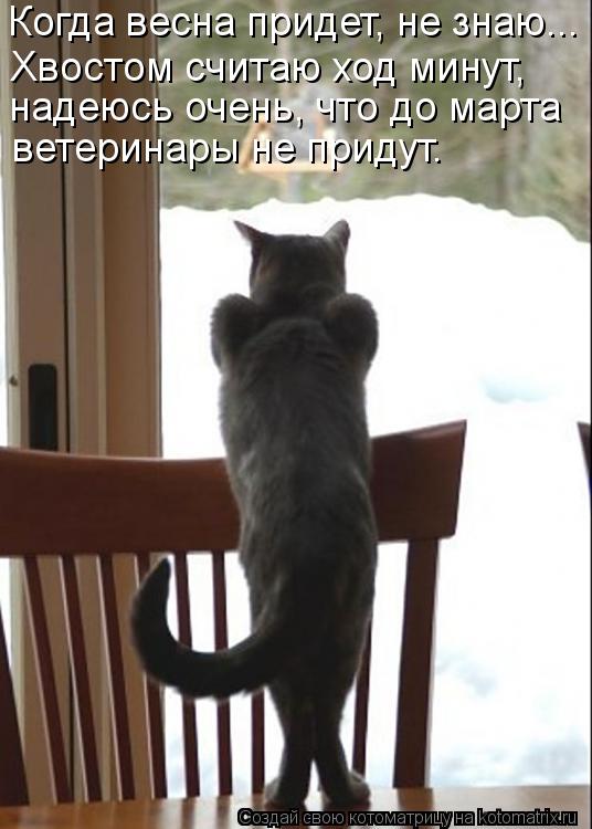 Когда весна придет, не знаю... Хвостом считаю ход минут, надеюсь очень, что до марта ветеринары не пр... Котоматрица: Когда весна придет, не знаю... Хвостом считаю ход минут, надеюсь очень, что до марта ветеринары не придут.