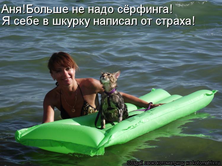 Аня!Больше не надо сёрфинга! Я себе в шкурку написал от страха!... Котоматрица: Аня!Больше не надо сёрфинга! Я себе в шкурку написал от страха!