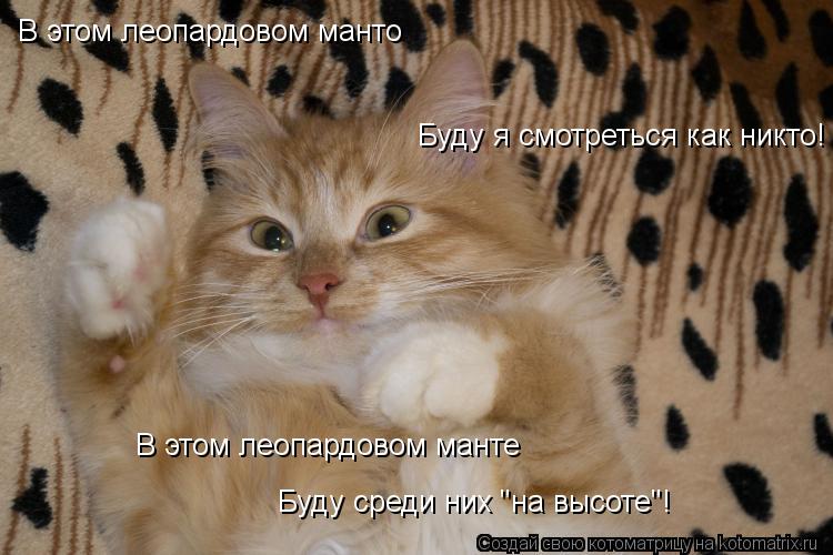 Буду среди них "на высоте"! В этом леопардовом манто Буду я смотреться как никто! В этом леопардовом ... Котоматрица: Буду среди них "на высоте"! В этом леопардовом манто Буду я смотреться как никто! В этом леопардовом манте