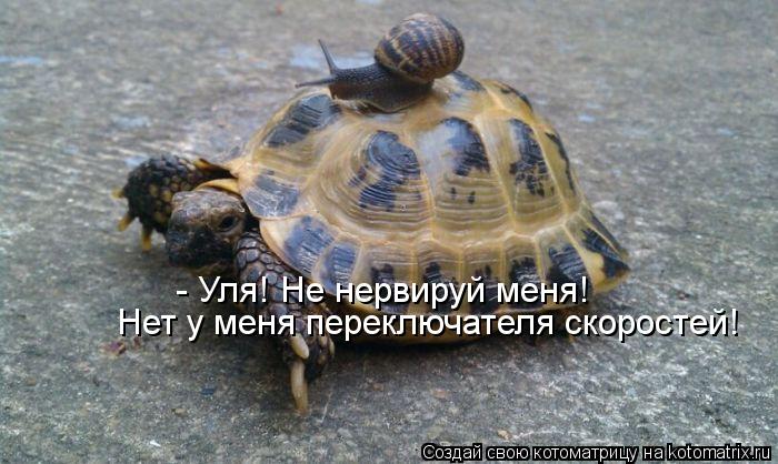- Уля! Не нервируй меня! Нет у меня переключателя скоростей!... Котоматрица: - Уля! Не нервируй меня! Нет у меня переключателя скоростей!