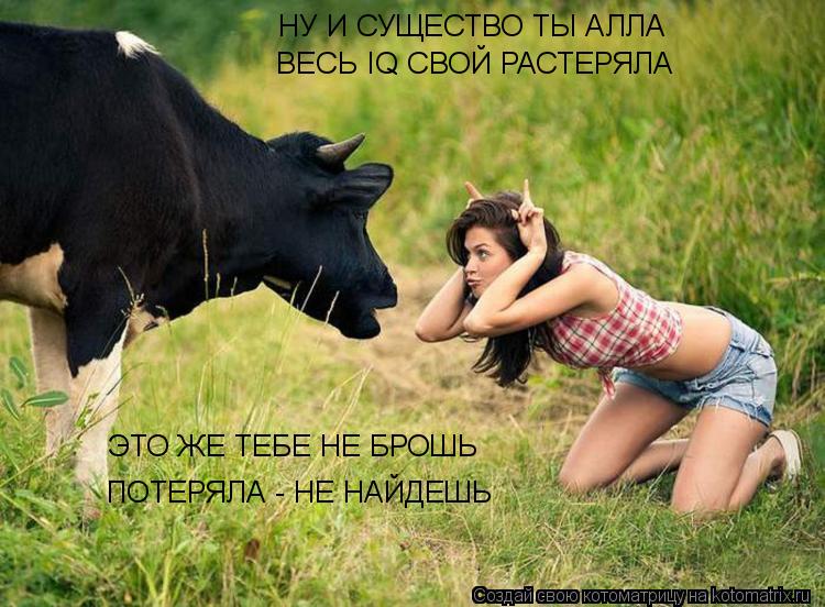НУ И СУЩЕСТВО ТЫ АЛЛА ВЕСЬ IQ СВОЙ РАСТЕРЯЛА ЭТО ЖЕ ТЕБЕ НЕ БРОШЬ ПОТЕРЯЛА - НЕ НАЙДЕШЬ... Котоматрица: НУ И СУЩЕСТВО ТЫ АЛЛА ВЕСЬ IQ СВОЙ РАСТЕРЯЛА ЭТО ЖЕ ТЕБЕ НЕ БРОШЬ ПОТЕРЯЛА - НЕ НАЙДЕШЬ