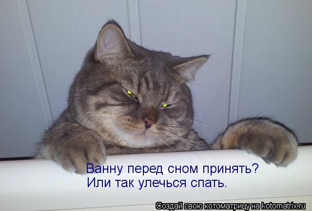 Ванну перед сном принять? Или так улечься спать.... Котоматрица: Ванну перед сном принять? Или так улечься спать.