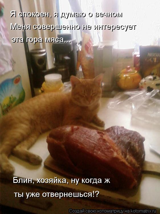 Я спокоен, я думаю о вечном Меня совершенно не интересует эта гора мяса... Блин, хозяйка, ну когда ж... Котоматрица: Я спокоен, я думаю о вечном Меня совершенно не интересует эта гора мяса... Блин, хозяйка, ну когда ж ты уже отвернешься!?