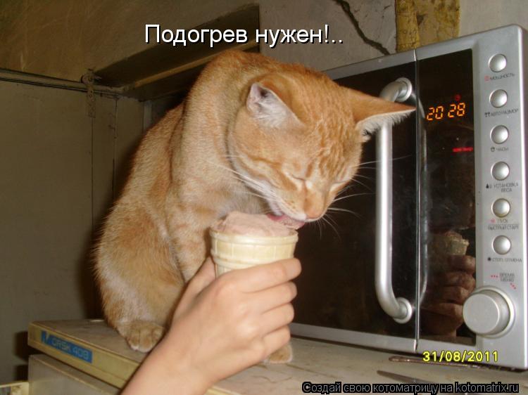 Подогрев нужен!..... Котоматрица: Подогрев нужен!..