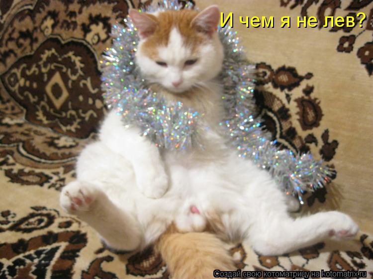 И чем я не лев?... Котоматрица: И чем я не лев?