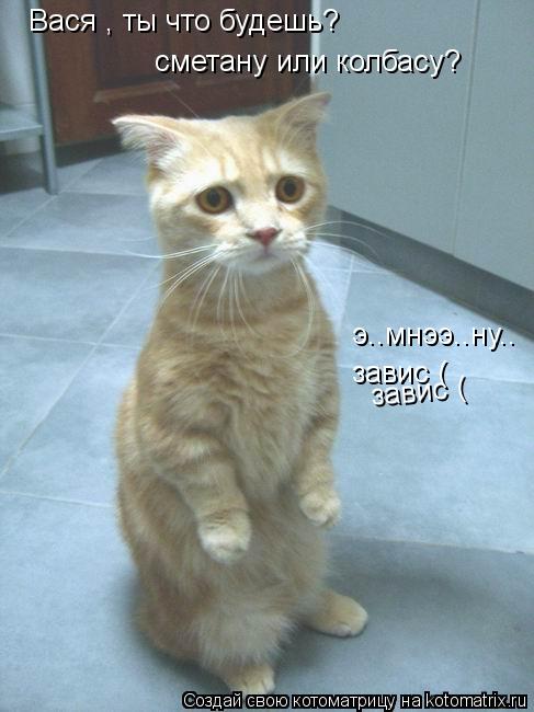 Вася , ты что будешь? сметану или колбасу? э..мнээ..ну.. завис ( завис (... Котоматрица: Вася , ты что будешь? сметану или колбасу? э..мнээ..ну.. завис ( завис (