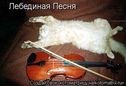 Лебединая Песня... Котоматрица: Лебединая Песня