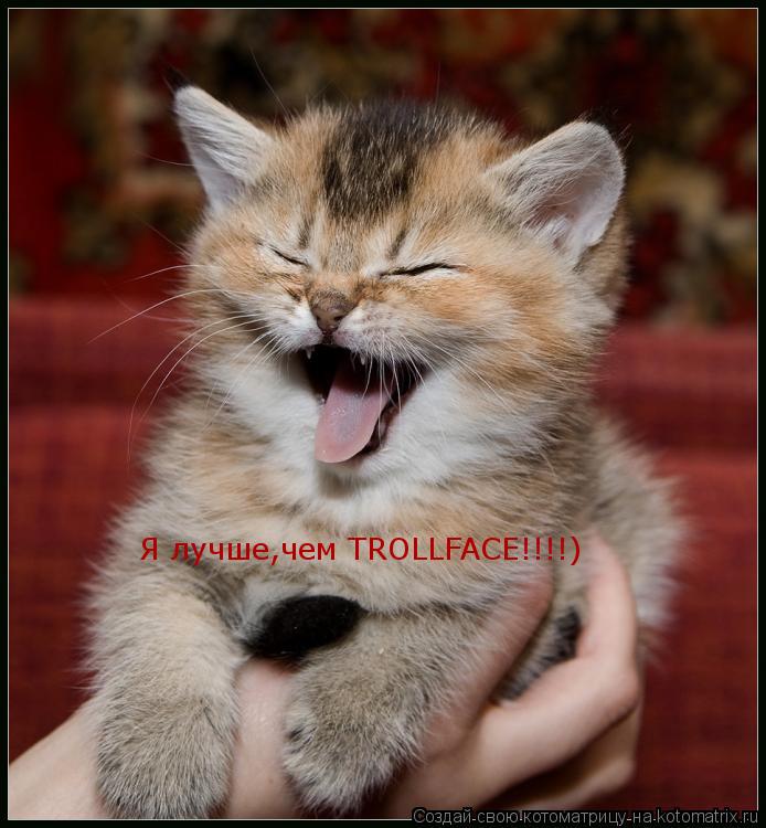 Я лучше,чем TROLLFACE!!!!)... Котоматрица: Я лучше,чем TROLLFACE!!!!)