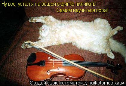 Ну все, устал я на вашей скрипке пиликать! Самим научиться пора!... Котоматрица: Ну все, устал я на вашей скрипке пиликать! Самим научиться пора!