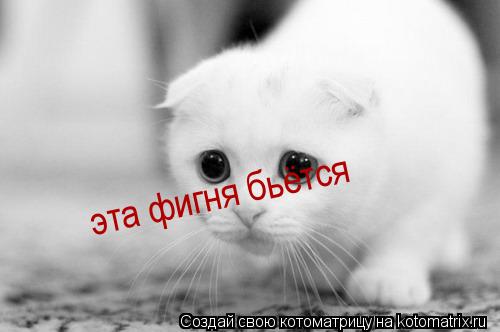 эта фигня бьётся... Котоматрица: эта фигня бьётся