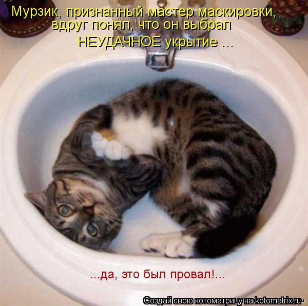 Мурзик, признанный мастер маскировки, вдруг понял, что он выбрал НЕУДАЧНОЕ укрытие ... ...да, это бы... Котоматрица: Мурзик, признанный мастер маскировки, вдруг понял, что он выбрал НЕУДАЧНОЕ укрытие ... ...да, это был провал!...