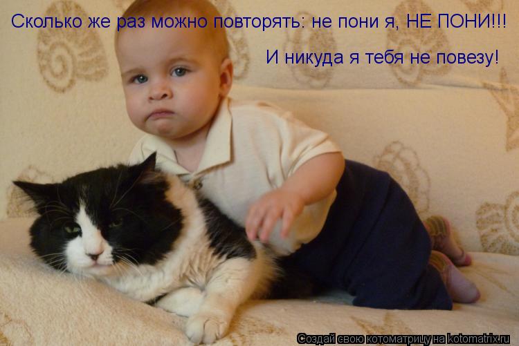 Сколько же раз можно повторять: не пони я, НЕ ПОНИ!!! И никуда я тебя не повезу!... Котоматрица: Сколько же раз можно повторять: не пони я, НЕ ПОНИ!!! И никуда я тебя не повезу!