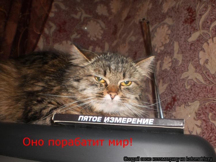Оно порабатит мир!... Котоматрица: Оно порабатит мир!