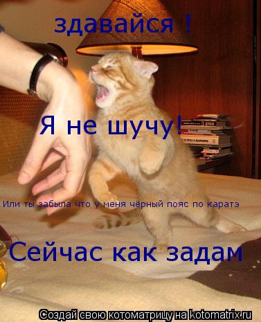 здавайся ! Я не шучу! Или ты забыла что у меня чёрный пояс по каратэ Сейчас как задам... Котоматрица: здавайся ! Я не шучу! Или ты забыла что у меня чёрный пояс по каратэ Сейчас как задам