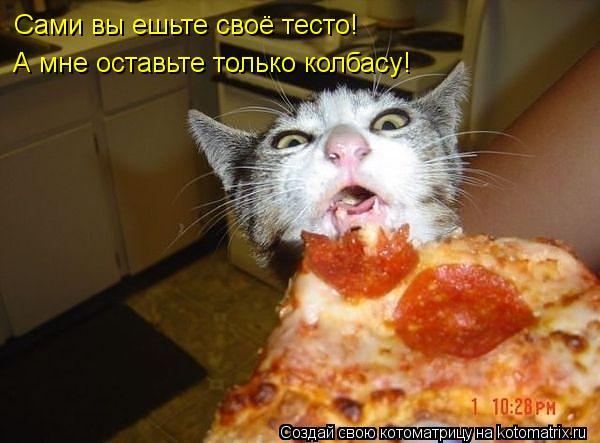 Сами вы ешьте своё тесто! А мне оставьте только колбасу!... Котоматрица: Сами вы ешьте своё тесто! А мне оставьте только колбасу!