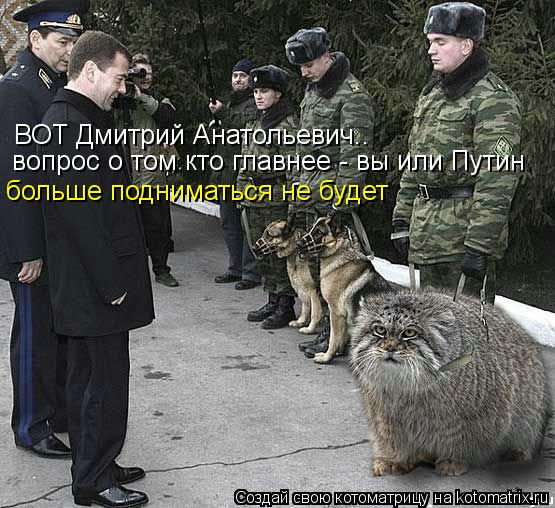ВОТ Дмитрий Анатольевич.. вопрос о том кто главнее - вы или Путин больше подниматься не будет... Котоматрица: ВОТ Дмитрий Анатольевич.. вопрос о том кто главнее - вы или Путин больше подниматься не будет