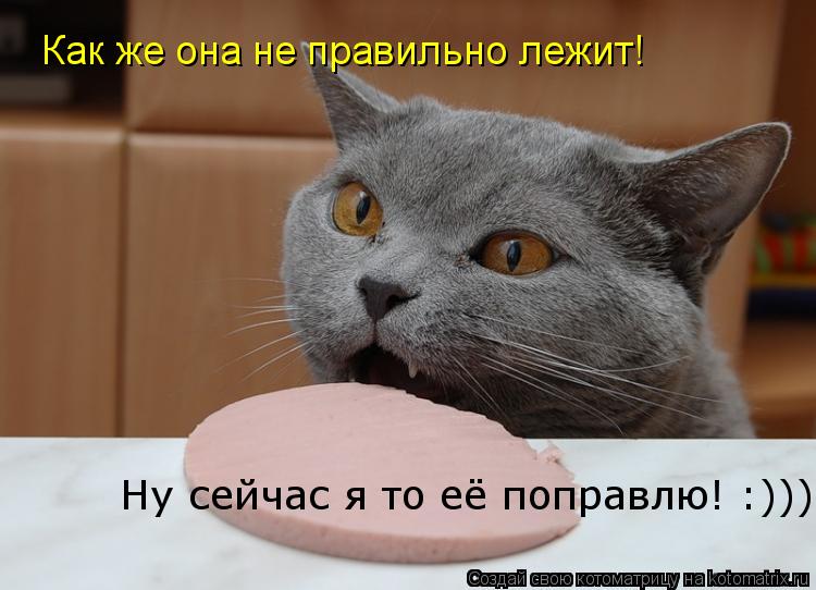 Как же она не правильно лежит! Ну сейчас я то её поправлю! :)))... Котоматрица: Как же она не правильно лежит! Ну сейчас я то её поправлю! :)))