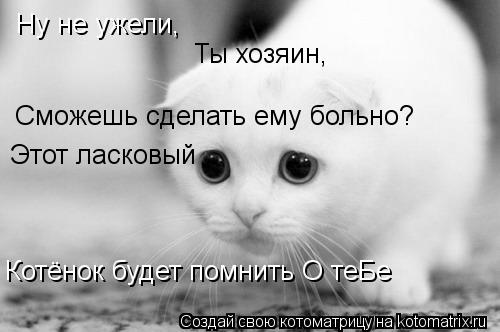 Ну не ужели, Ты хозяин, Сможешь сделать ему больно? Этот ласковый Котёнок будет помнить О теБе... Котоматрица: Ну не ужели, Ты хозяин, Сможешь сделать ему больно? Этот ласковый Котёнок будет помнить О теБе