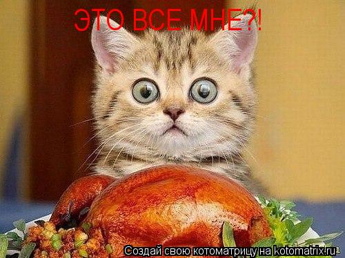 ЭТО ВСЕ МНЕ?!... Котоматрица: ЭТО ВСЕ МНЕ?!