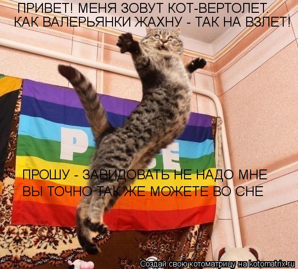 ПРИВЕТ! МЕНЯ ЗОВУТ КОТ-ВЕРТОЛЕТ. КАК ВАЛЕРЬЯНКИ ЖАХНУ - ТАК НА ВЗЛЕТ! ПРОШУ - ЗАВИДОВАТЬ НЕ НАДО МНЕ ... Котоматрица: ПРИВЕТ! МЕНЯ ЗОВУТ КОТ-ВЕРТОЛЕТ. КАК ВАЛЕРЬЯНКИ ЖАХНУ - ТАК НА ВЗЛЕТ! ПРОШУ - ЗАВИДОВАТЬ НЕ НАДО МНЕ ВЫ ТОЧНО ТАК ЖЕ МОЖЕТЕ ВО СНЕ
