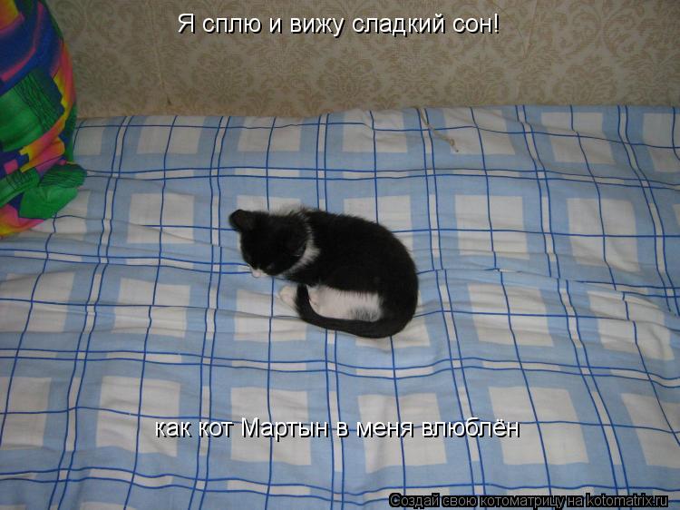 Я сплю и вижу сладкий сон! как кот Мартын в меня влюблён... Котоматрица: Я сплю и вижу сладкий сон! как кот Мартын в меня влюблён