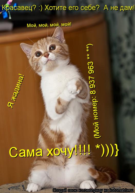 Мой, мой, мой, мой! Сама хочу!!!! *)))} Красавец? :) Хотите его себе? А не дам! Я жадина! (Мой номер... Котоматрица: Мой, мой, мой, мой! Сама хочу!!!! *)))} Красавец? :) Хотите его себе? А не дам! Я жадина! (Мой номер: 8 937 963 ** **)