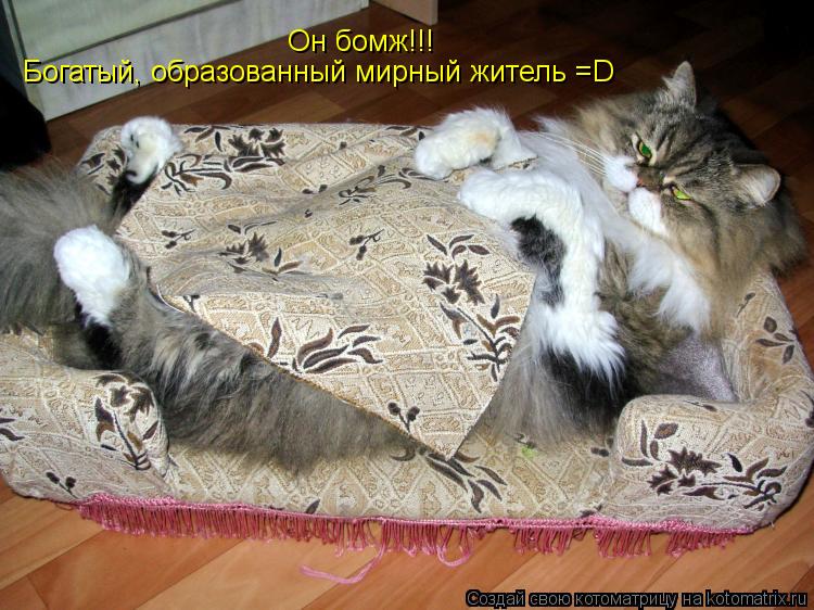 Богатый, образованный мирный житель =D Он бомж!!!... Котоматрица: Богатый, образованный мирный житель =D Он бомж!!!