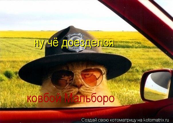 ну чё доезделся ковбой Мальборо ну чё доезделся ковбой Мальборо... Котоматрица: ну чё доезделся ковбой Мальборо ну чё доезделся ковбой Мальборо