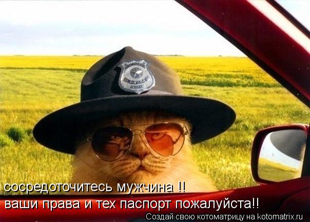 сосредоточитесь мужчина !! ваши права и тех паспорт пожалуйста!!... Котоматрица: сосредоточитесь мужчина !! ваши права и тех паспорт пожалуйста!!