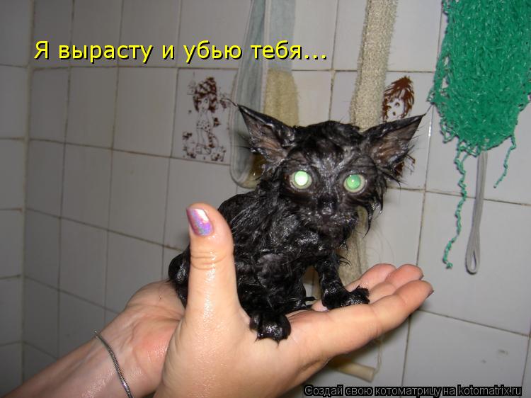Котоматрица: Я вырасту и убью тебя...