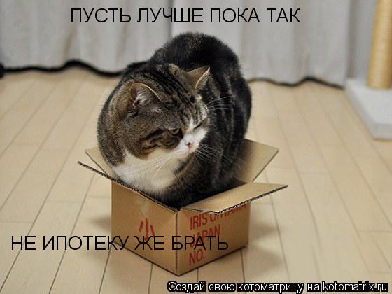 Котоматрица: ПУСТЬ ЛУЧШЕ ПОКА ТАК НЕ ИПОТЕКУ ЖЕ БРАТЬ