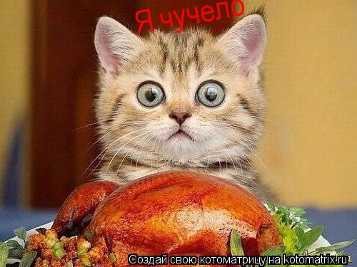 Котоматрица: Я чучело