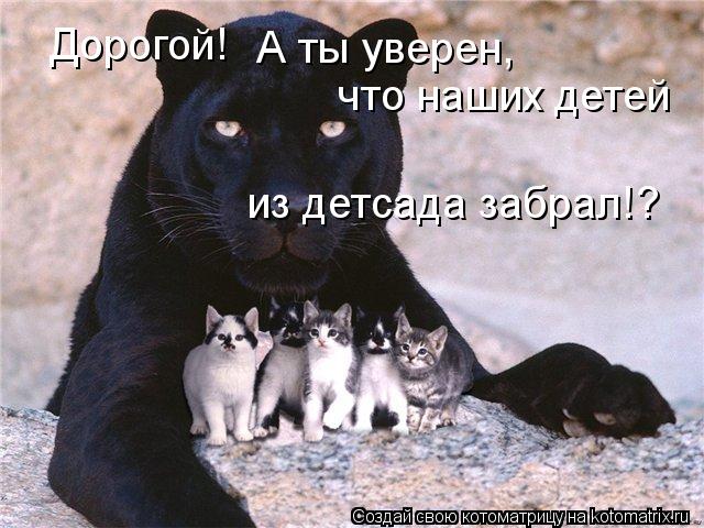 Котоматрица: Дорогой!   что наших детей  А ты уверен,  из детсада забрал!?  из детсада забрал!?