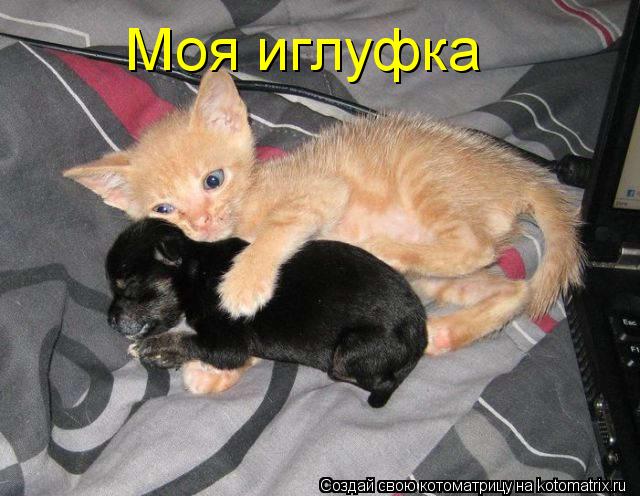 Котоматрица: Моя иглуфка Моя иглуфка