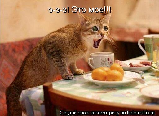 Котоматрица: э-э-э! Это мое!!!