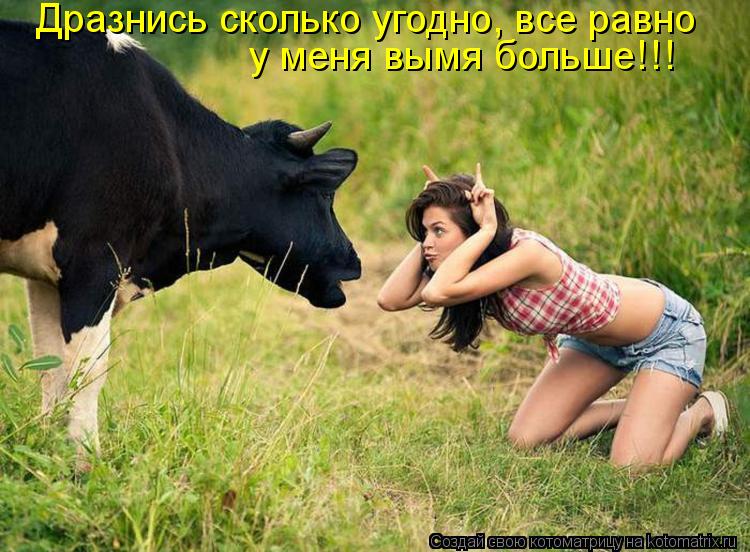 Котоматрица: Дразнись сколько угодно, все равно  у меня вымя больше!!!