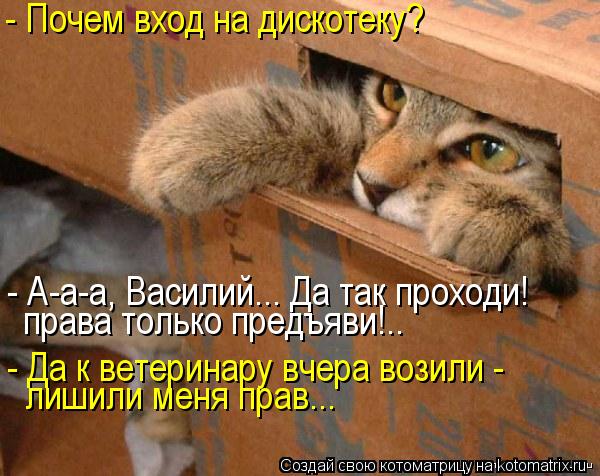 Котоматрица: - Почем вход на дискотеку? - А-а-а, Василий... Да так проходи! права только предъяви!.. - Да к ветеринару вчера возили -  лишили меня прав...