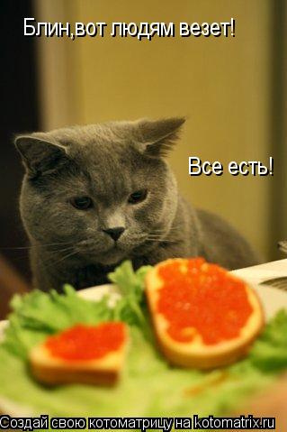 Котоматрица: Блин,вот людям везет! Все есть!