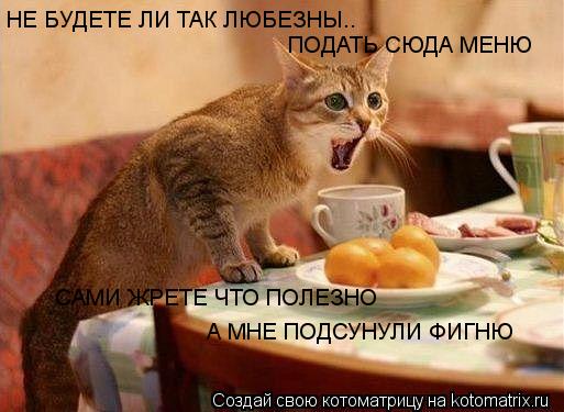 Котоматрица: НЕ БУДЕТЕ ЛИ ТАК ЛЮБЕЗНЫ.. ПОДАТЬ СЮДА МЕНЮ САМИ ЖРЕТЕ ЧТО ПОЛЕЗНО А МНЕ ПОДСУНУЛИ ФИГНЮ
