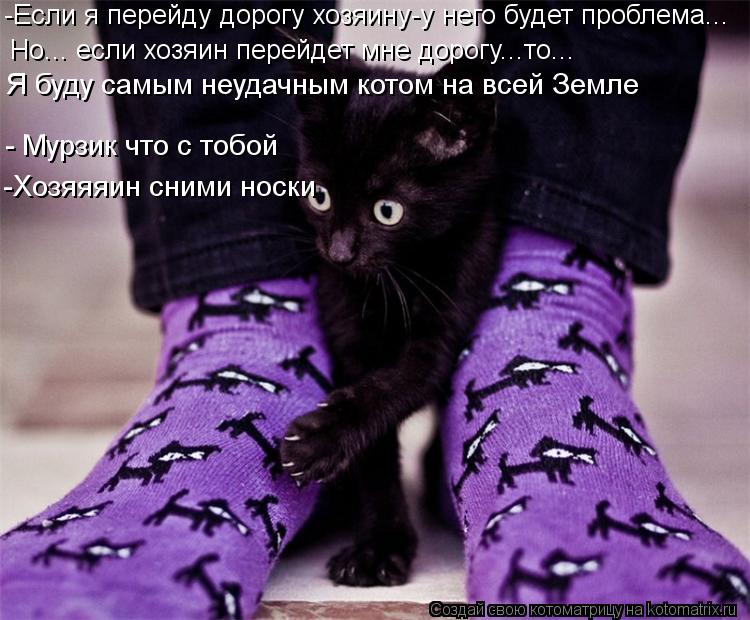 Котоматрица: -Если я перейду дорогу хозяину-у него будет проблема... Но... если хозяин перейдет мне дорогу...то... Я буду самым неудачным котом на всей Земле -