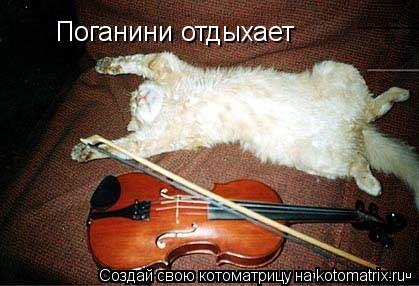 Котоматрица: Поганини отдыхает