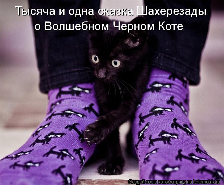 Котоматрица: Тысяча и одна сказка Шахерезады о Волшебном Черном Коте