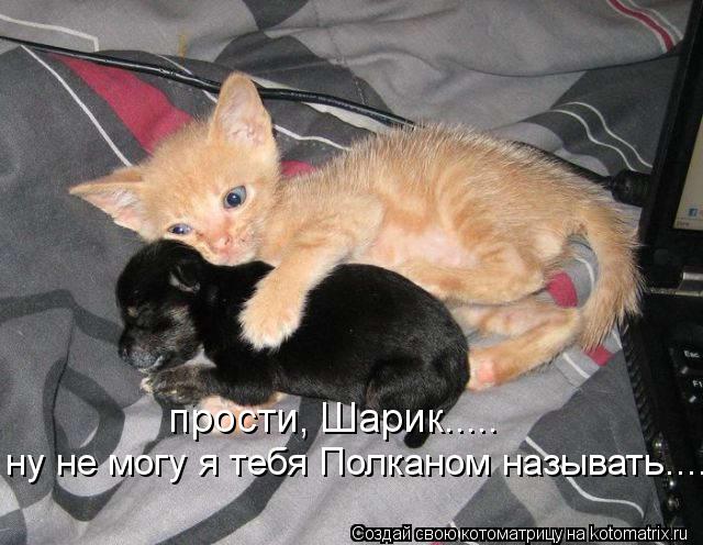 прости, Шарик..... ну не могу я тебя Полканом называть....... Котоматрица: прости, Шарик..... ну не могу я тебя Полканом называть....