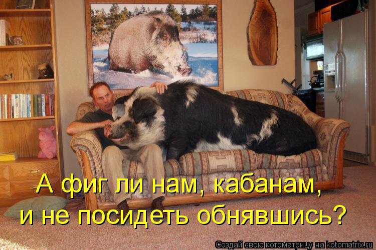 Котоматрица: А фиг ли нам, кабанам,  и не посидеть обнявшись?