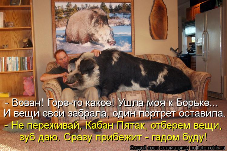 Котоматрица: - Вован! Горе-то какое! Ушла моя к Борьке... И вещи свои забрала, один портрет оставила. - Не переживай, Кабан Пятак, отберем вещи, зуб даю. Сразу 