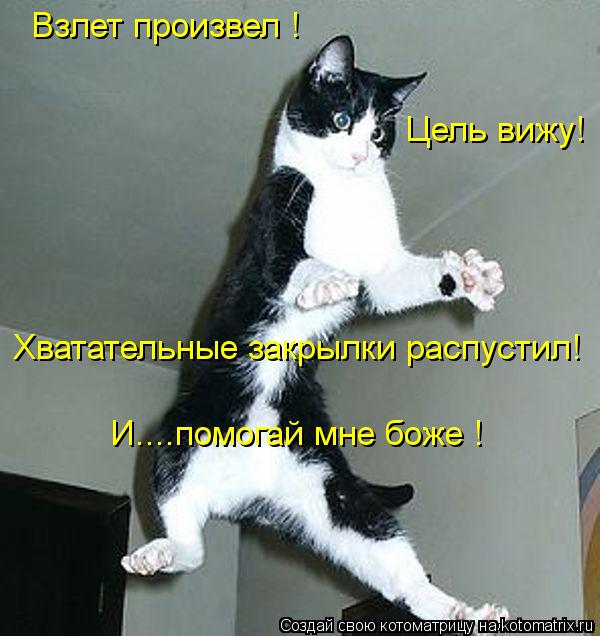 Котоматрица: Цель вижу! Взлет произвел ! Хватательные закрылки распустил! И....помогай мне боже !